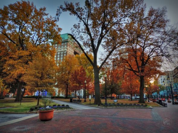 In the Mid-South, the leaves are still turning a beautiful array of fall colors around late November. You can see this in the orange, red and amber hues of the foliage as you walk through Court Square in Downtown Memphis on Thanksgiving Day. 